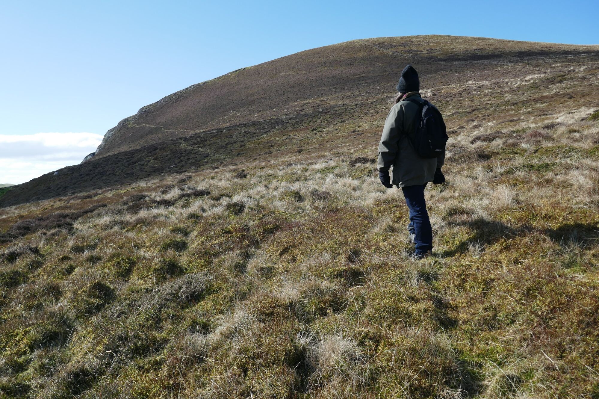 RachelSeabrook.net | Wild Walking | Cwm Cyneiniog and Craig y Pistyll | pic28